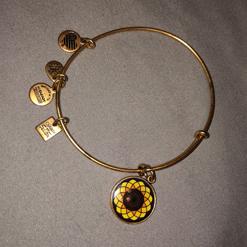 Alex and Ani Bangle